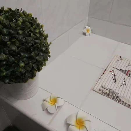 Budha Apartman, Terrace, Ac, Free Parking, Bbq, Wifi Apartmán Siófok