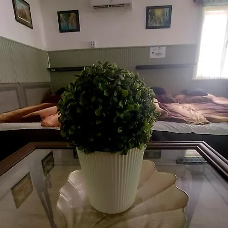 Studio Garden, Autoparking, Bbq, Terrace Apartment *