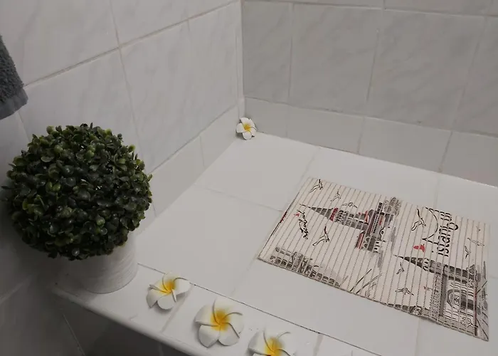 Apartman Garden, Autoparking, Bbq, Terrace 아파트 *